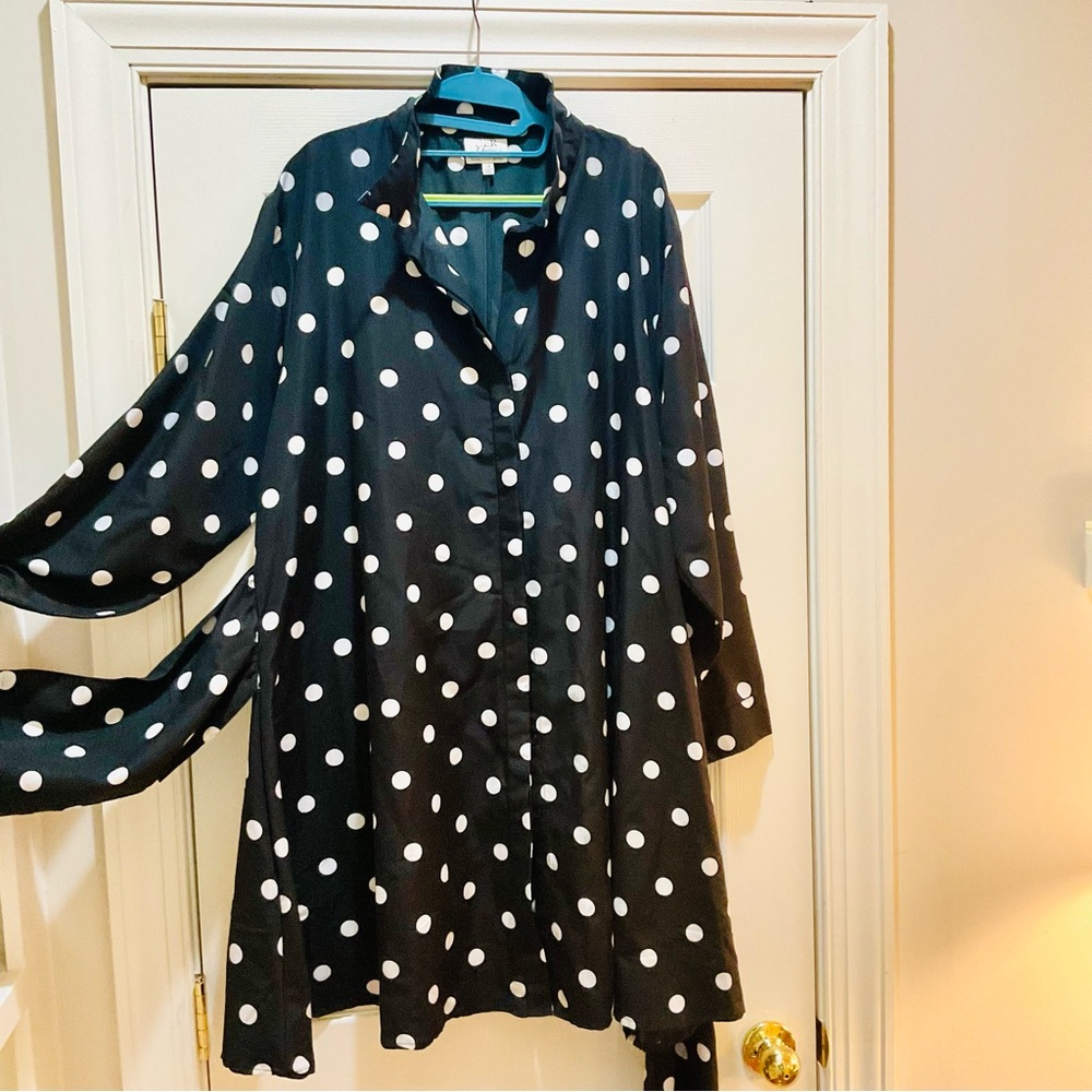 Polka Dot Blouse - Black and White (Price Is Firm) - Picture 2 of 5